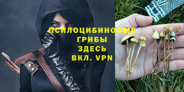 Альфа ПВП Зерноград