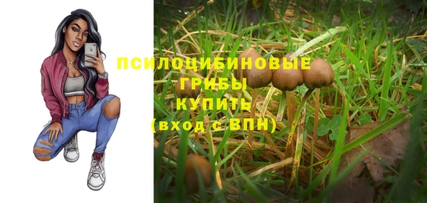 гашик Зеленодольск