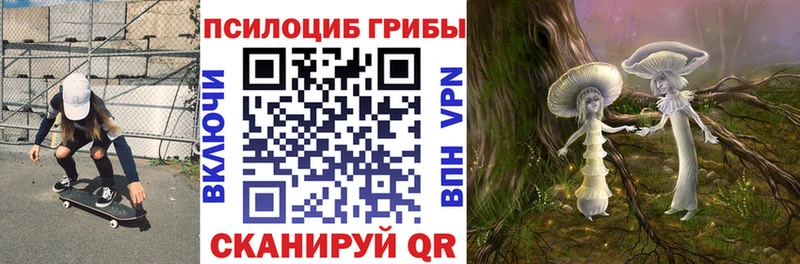 где купить   Курган  Псилоцибиновые грибы мухоморы 
