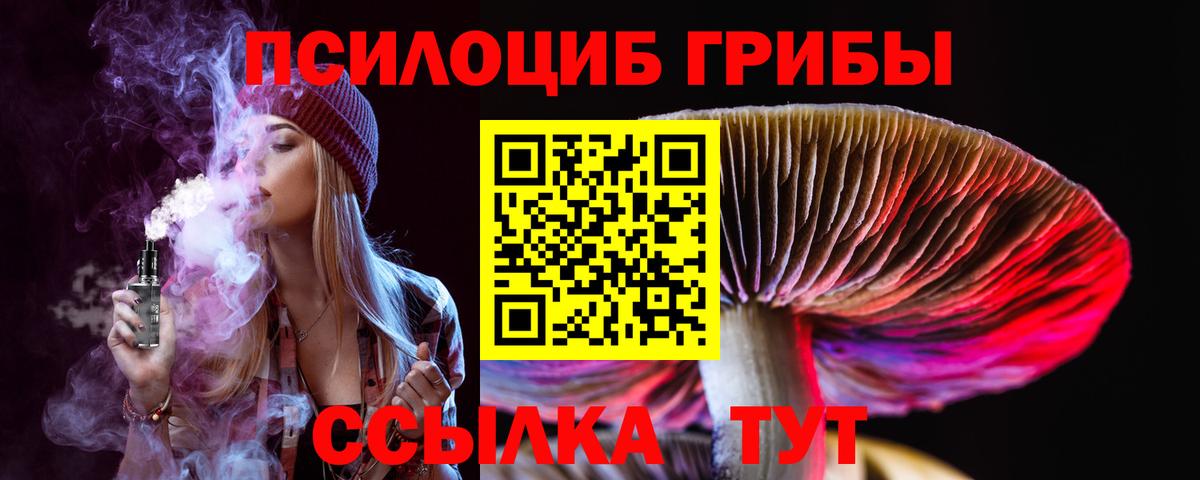 Курган  Псилоцибиновые грибы Magic Shrooms  Вход с VPN 